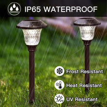 Load image into Gallery viewer, Elegant 8 Pack Solar Pathway Lights - Waterproof Glass, Color Changing Modes