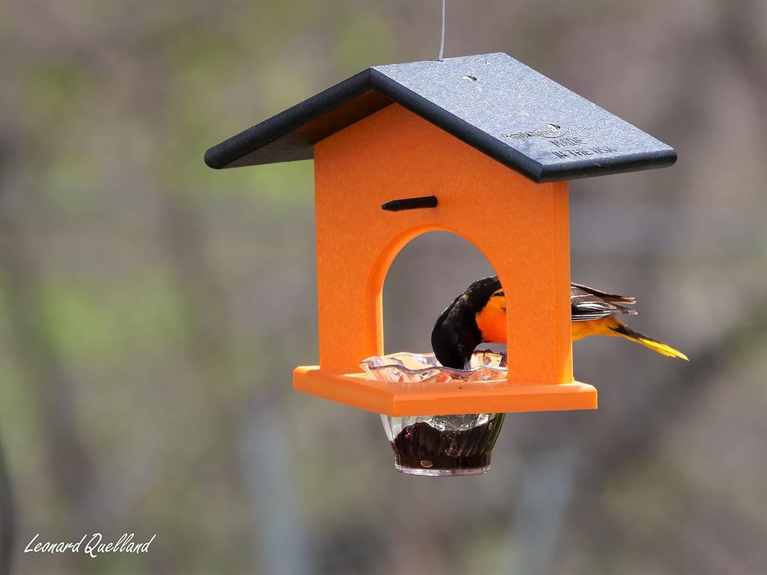 Weather Resistant Hanging Oriole Bird Feeder with Jelly Dish - 10.5"L x 7.5"W