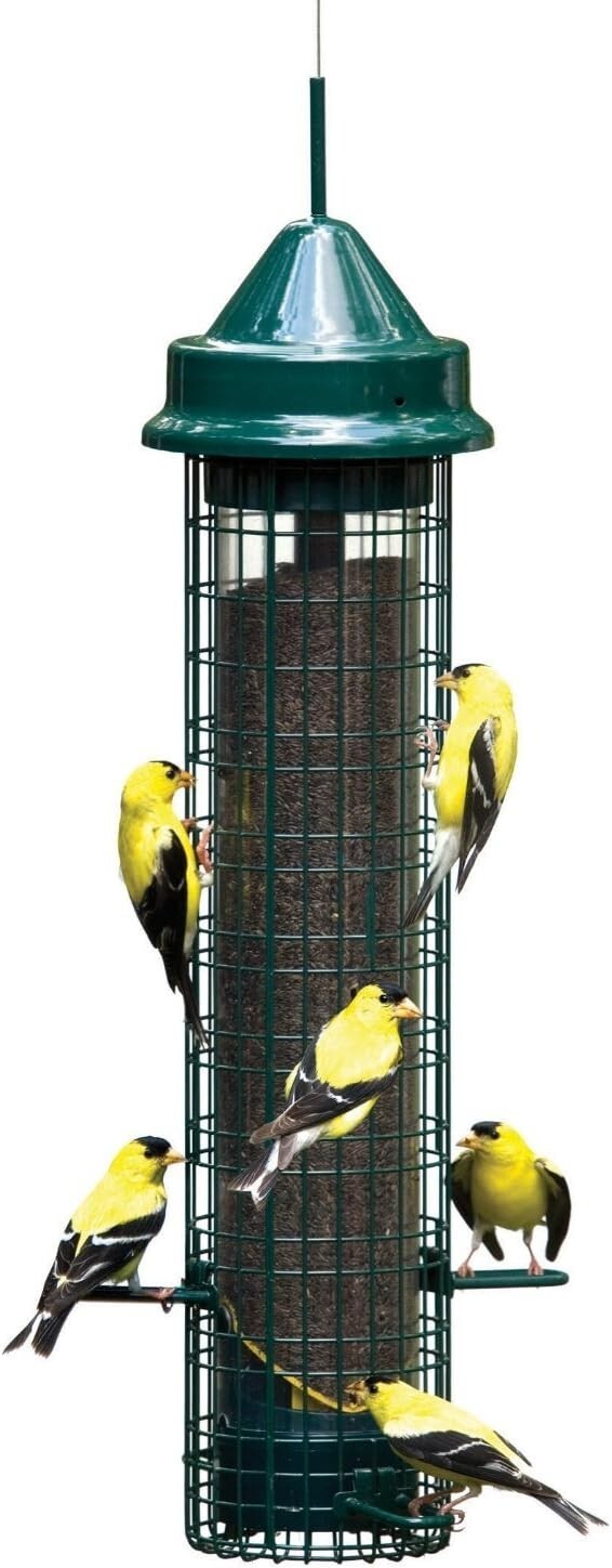 4-Perch Squirrel-Proof Finch Feeder with UV Resistance & Seed Ventilation System