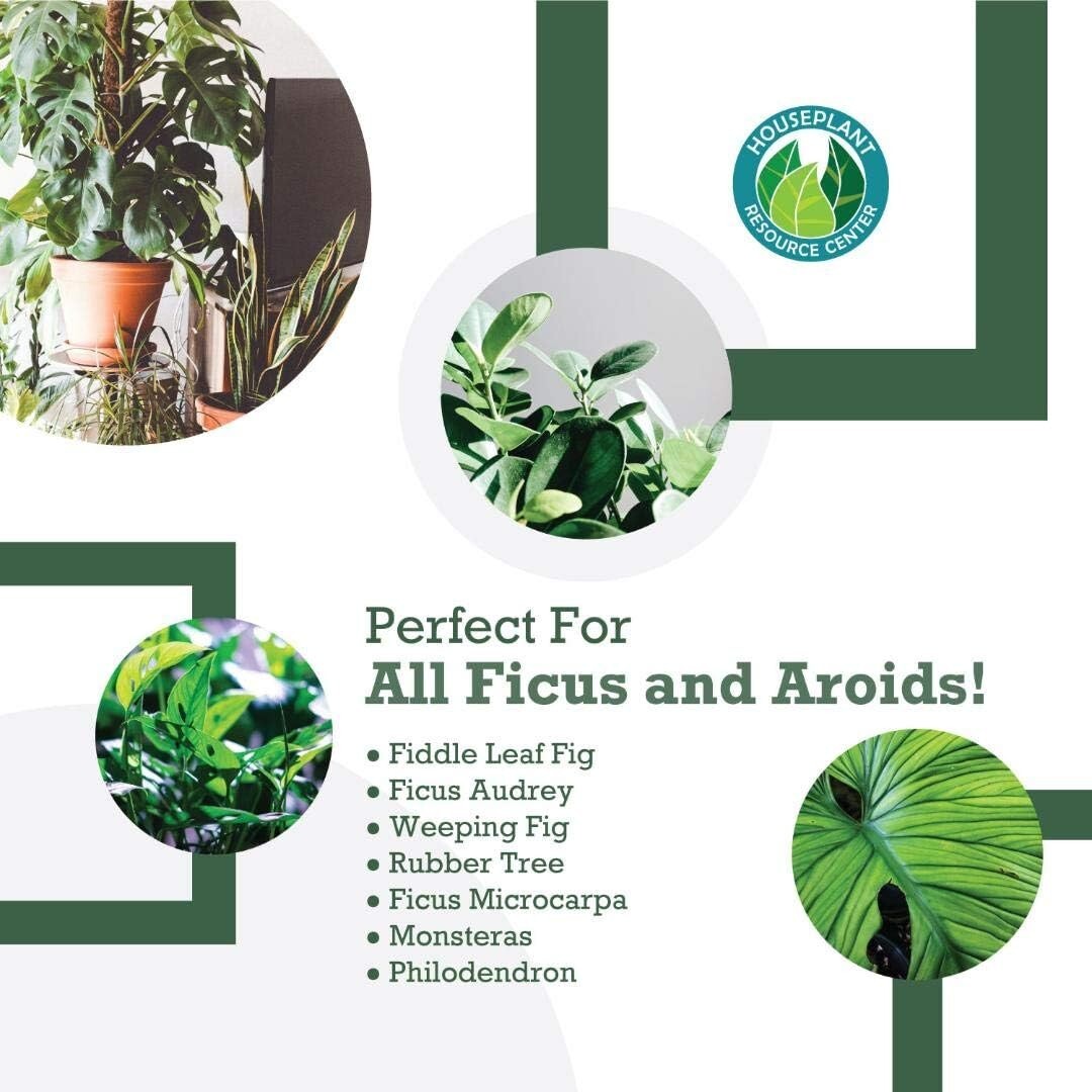 Sustainably Sourced Fiddle Leaf Fig Soil - Nutrient-Rich & Pre-Mixed Solution