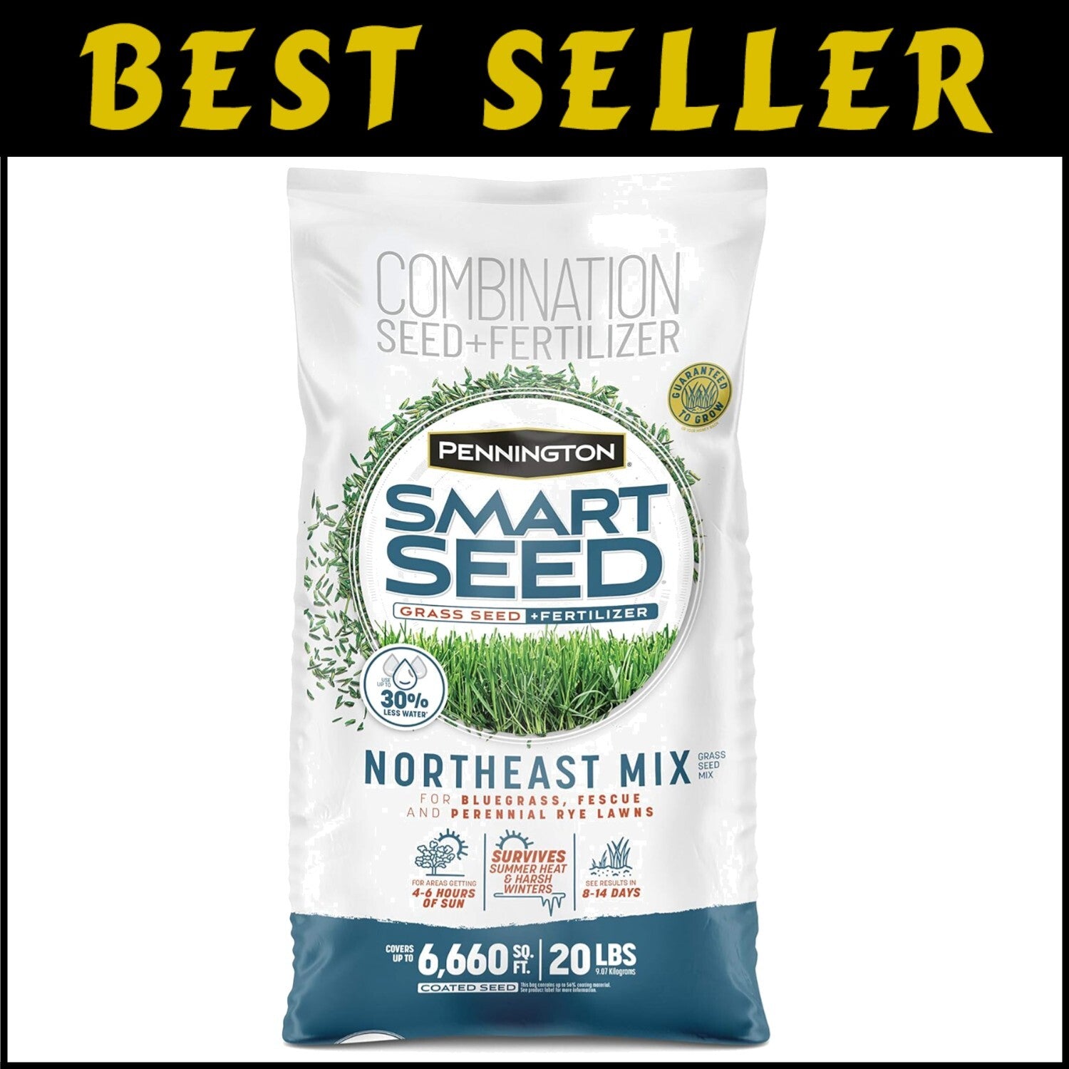 Premium 20 lb Smart Seed Mix: Kentucky Bluegrass & Ryegrass for Northeast Lawns
