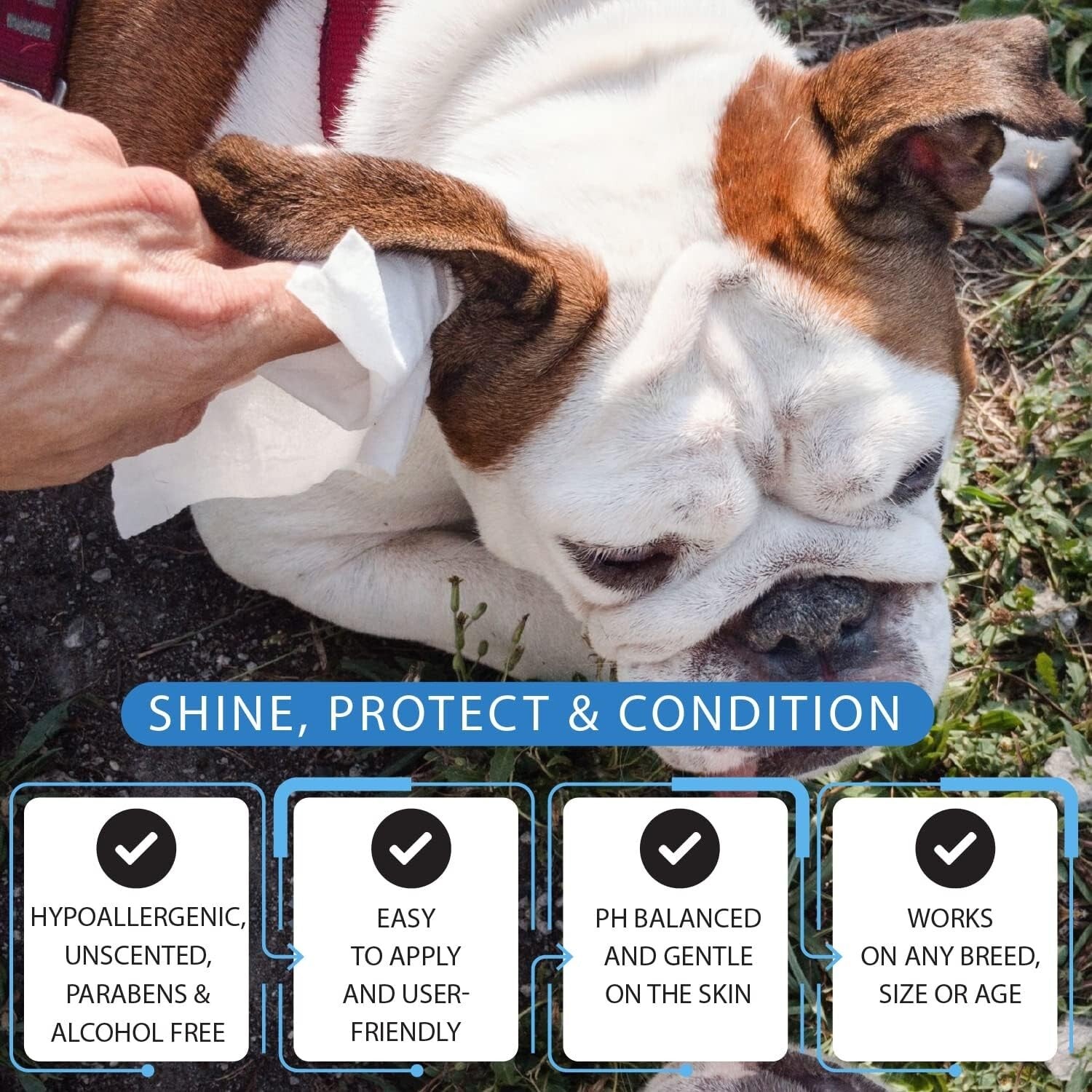 600 Count Eco-Friendly Dog and Cat Wipes - Gentle Grooming & Cleaning Solution