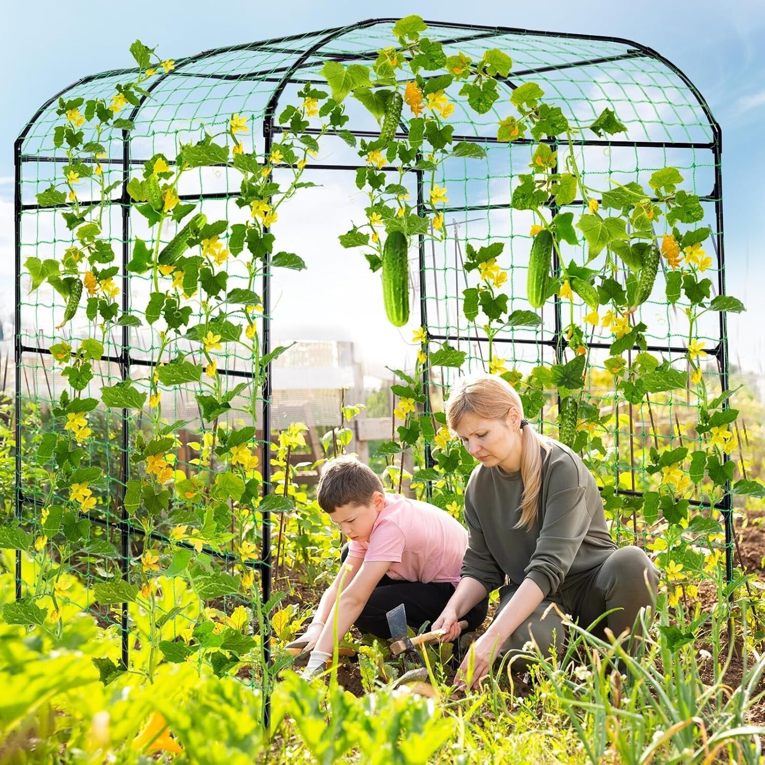Durable Metal Arbor Trellis with Netting for Vertical Gardening & Plant Support