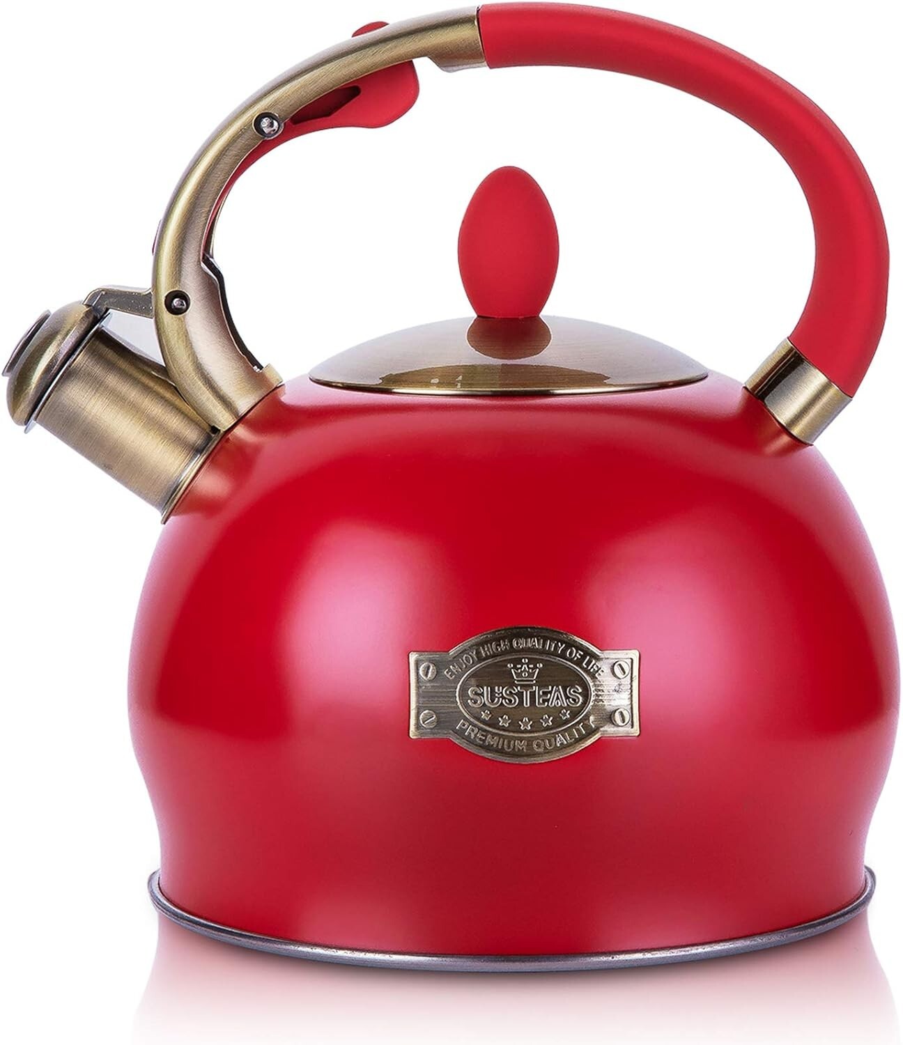 Elegant 2.64 Quart Stainless Steel Whistling Tea Kettle with Heat-Resistant Mitt