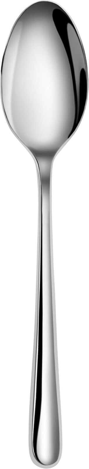 Elegant 12-Piece Stainless Steel Teaspoon Set - Classic Rain II Design