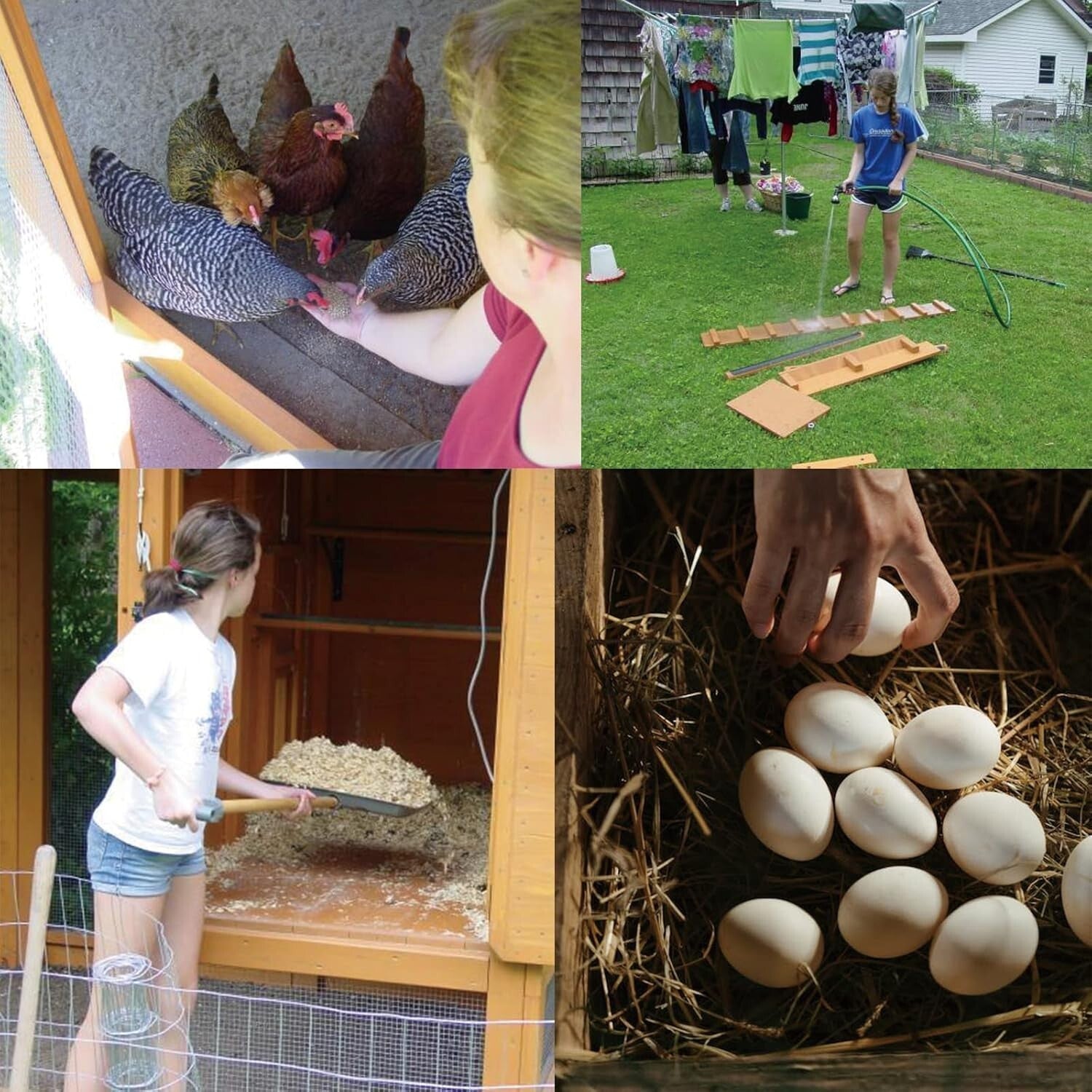 Durable 48" x 50' Hardware Cloth - 1/2" Mesh for Gardens & Wildlife Security