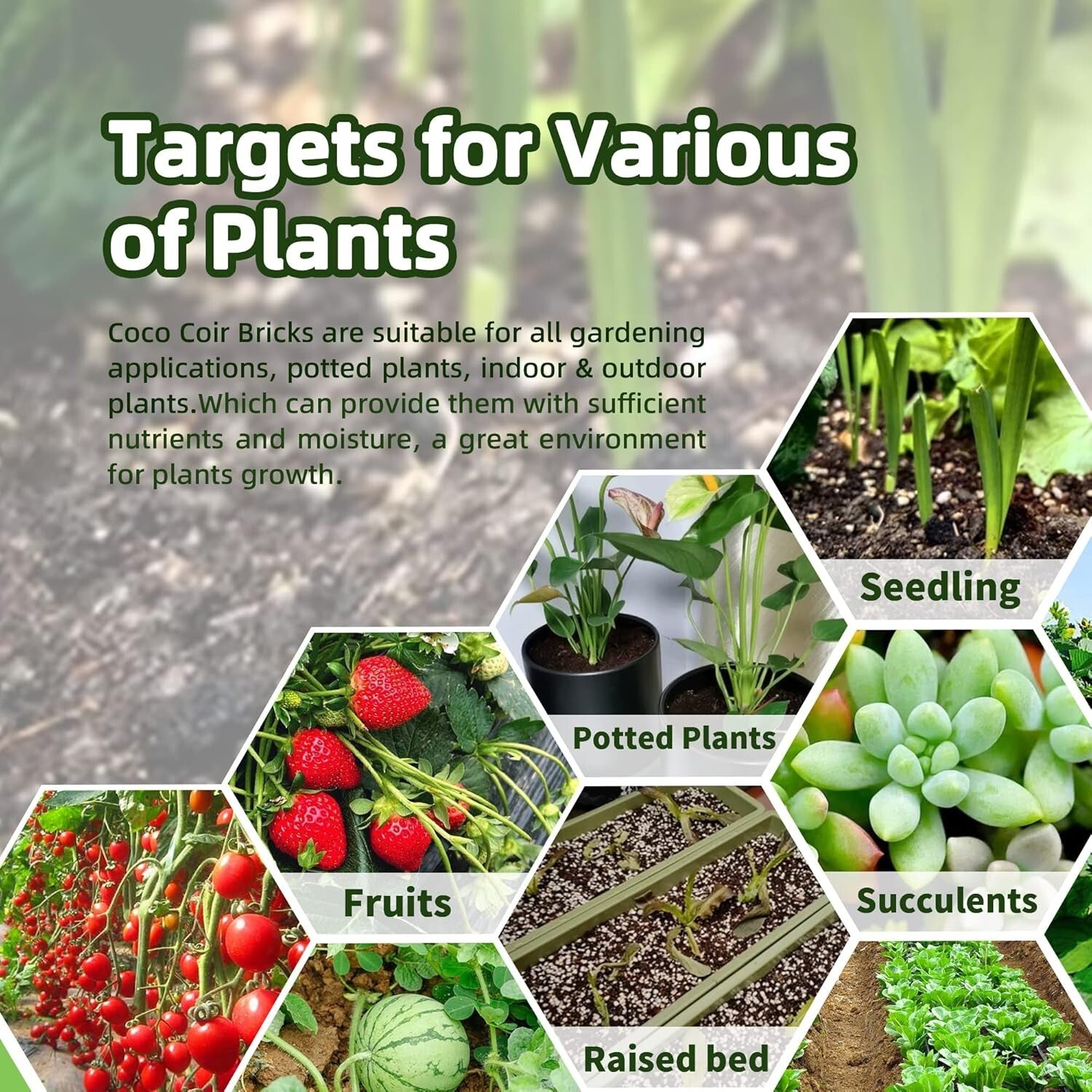 Coconut Coir Brick Soil - 24 Natural Compressed Fibers for Healthy Plants