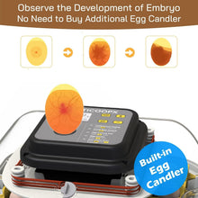 Load image into Gallery viewer, Advanced 30 Egg Incubator with Built-In Candler and External Water Refill