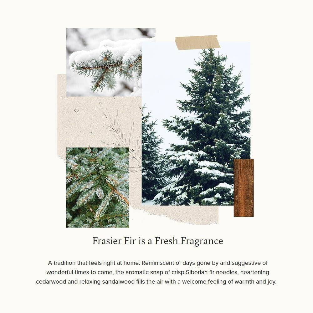 Pack of 2 Frasier Fir Pura Smart Diffuser Refills - 350 Hours of Luxury Aroma