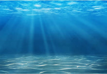 Load image into Gallery viewer, 13x10ft Undersea World Photographic Backdrop - Ideal for Birthday Celebrations