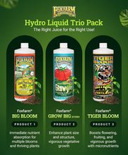 Load image into Gallery viewer, Fox Farm Hydro Nutrient Trio for Hydroponics: Vivid Growth &amp; Abundant Blooms