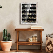 Load image into Gallery viewer, Elegant Rustic White Coin Display Case - Protect Your Collectibles in Style