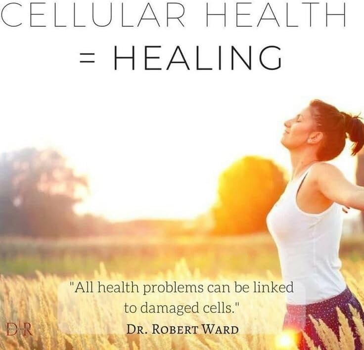 Bio-Enhanced Turmeric & Antioxidants for Healthy Inflammation Response - 30 Caps