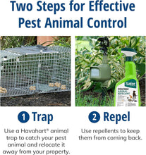 Load image into Gallery viewer, Professional Quality 1-Door Humane Animal Trap - Safe for Cats, Raccoons &amp; More