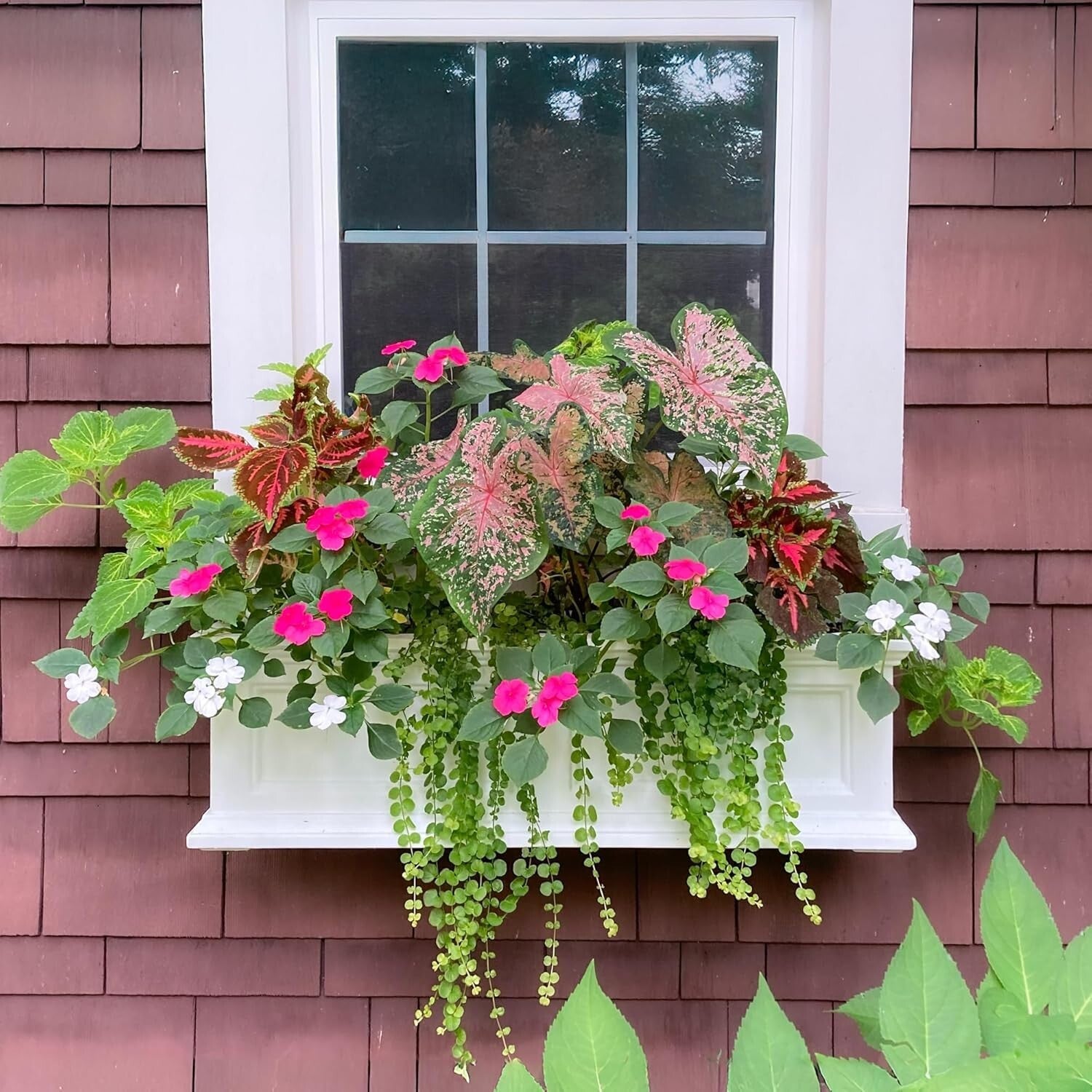 Durable 3-Foot Weather-Resistant Window Box Planter – Self-Watering Convenience