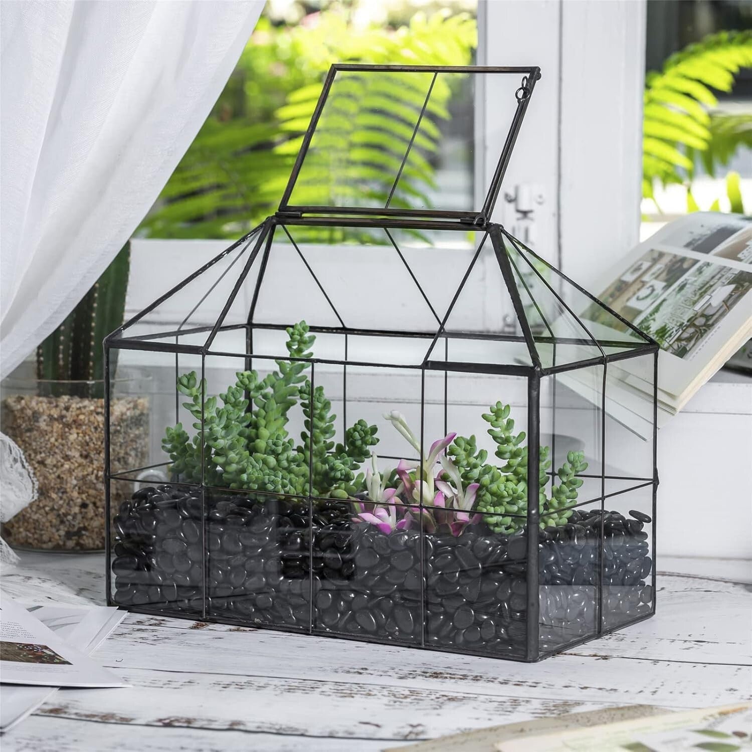 9.84 x 5.31 x 7.87 Black Glass Terrarium - Perfect for Indoor Cacti & Succulents