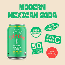 Load image into Gallery viewer, Low Sugar, Organic Tepache - Pineapple Tamarind Citrus Soda for Healthy Living