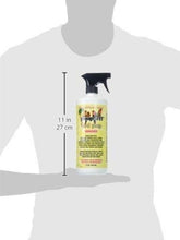 Load image into Gallery viewer, 2 Pack 32 Oz Bird Waste Cleaner - Gentle Yet Effective on Furniture &amp; Fabrics