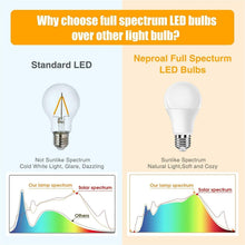 Load image into Gallery viewer, 6000K Bright White LED Light Bulbs - 9W Energy Efficient A19, E26 Base, 6 Pack
