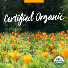 Load image into Gallery viewer, Expertly Crafted 4 oz Organic Sweet Annie Liquid Extract for Optimal Wellness