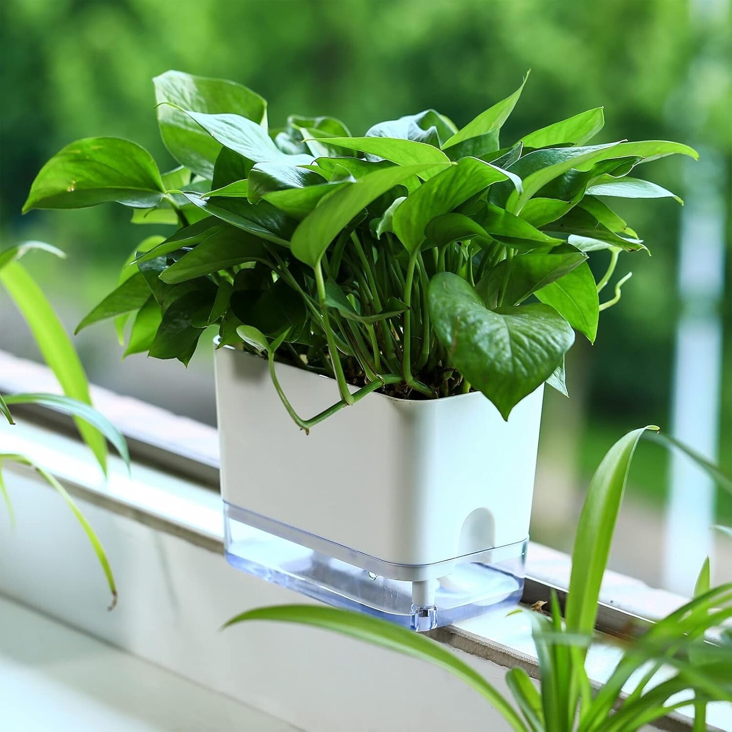 Elegant 7-Inch Self-Watering Pots for Indoor Plants – 8 Pack with Drainage Holes