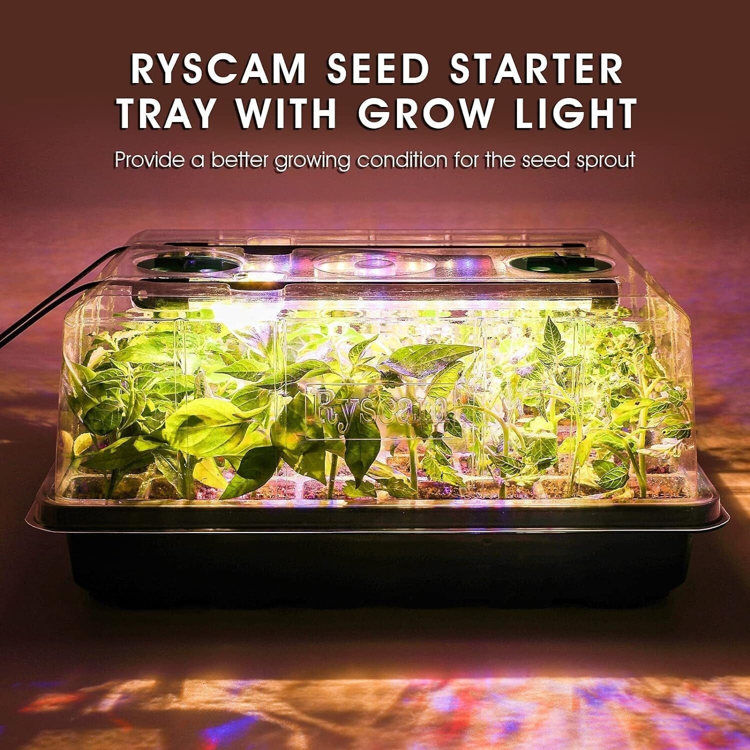 Seedling Starter Kit with Automatic Timer & Humidity Control for Indoor Gardens