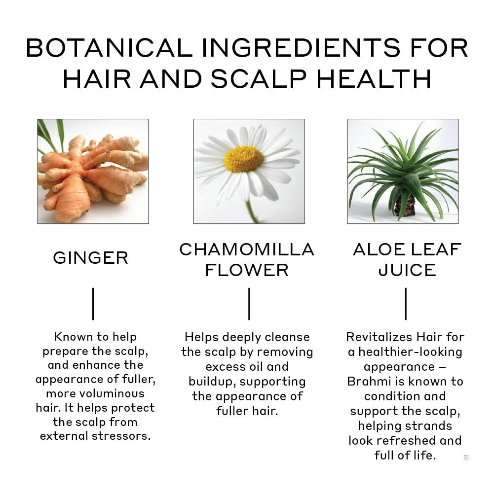 Vegan Revolve Conditioner for Thinning Hair | Supports Scalp Health & Thickness