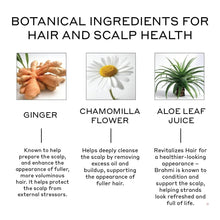 Load image into Gallery viewer, Vegan Revolve Conditioner for Thinning Hair | Supports Scalp Health &amp; Thickness