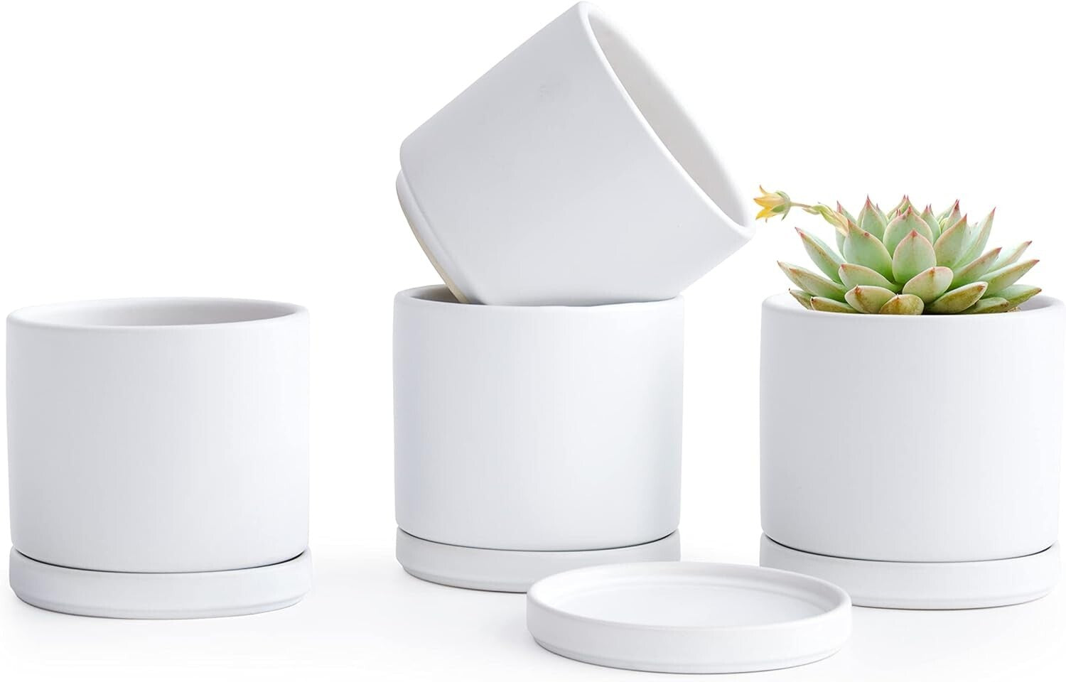Lightweight White Ceramic Plant Pots with Saucer - Ideal for Indoor Plants