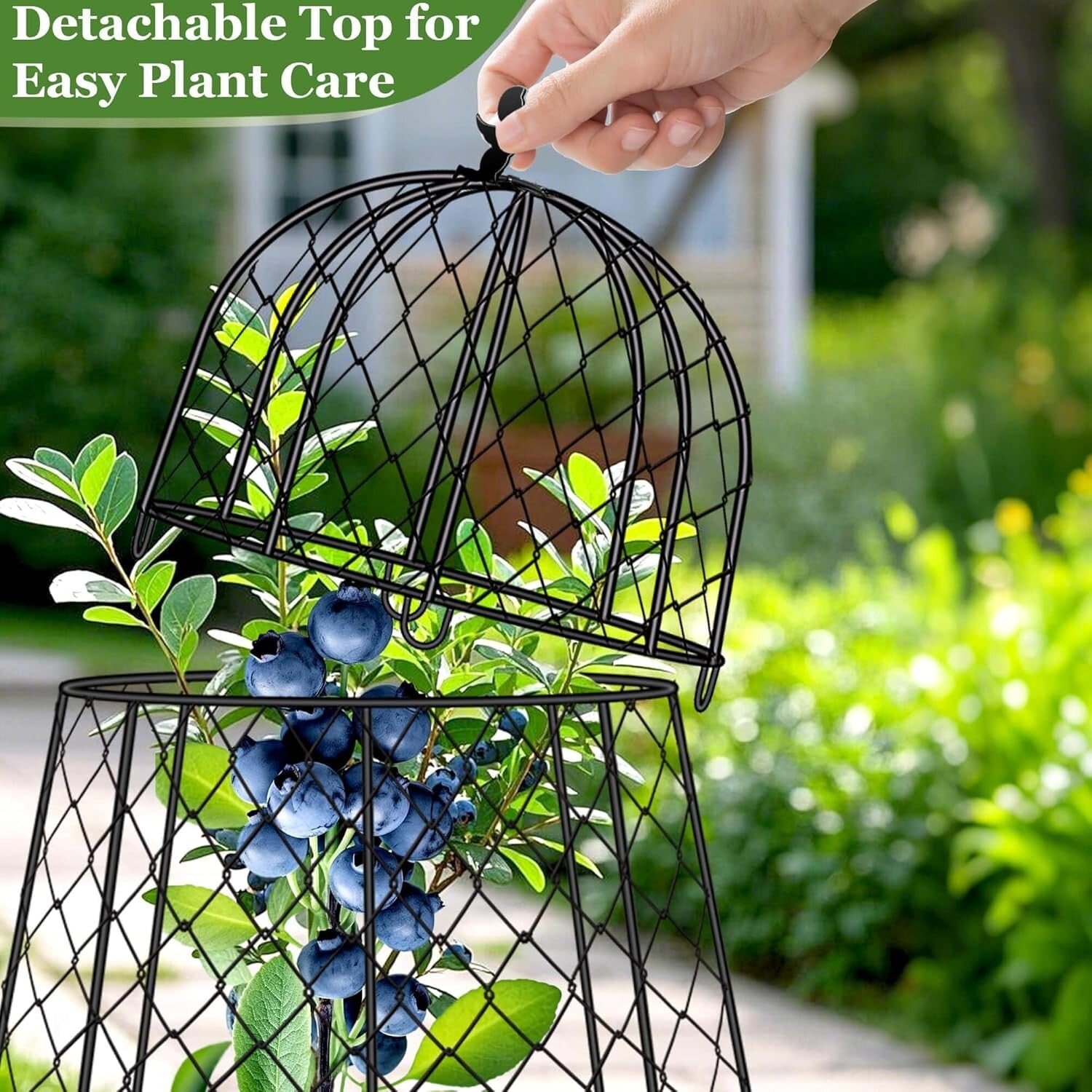 Durable Rustproof Chicken Wire Plant Cloches - 20" High Garden Protectors