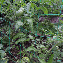 Load image into Gallery viewer, UV Stabilized Garden Trellis Netting for Tomatoes &amp; Vines - 2-Pack 32.8' x 6.6'