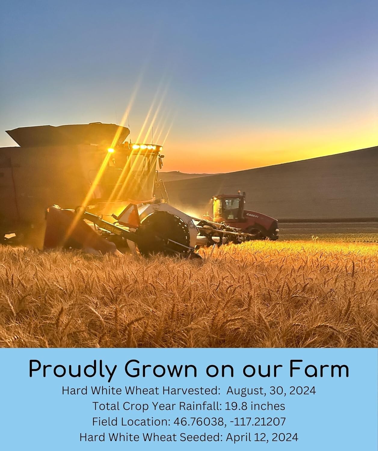 Farm-to-Table 18 LB Hard White Wheat Berries - Glyphosate-Free, Kosher Certified