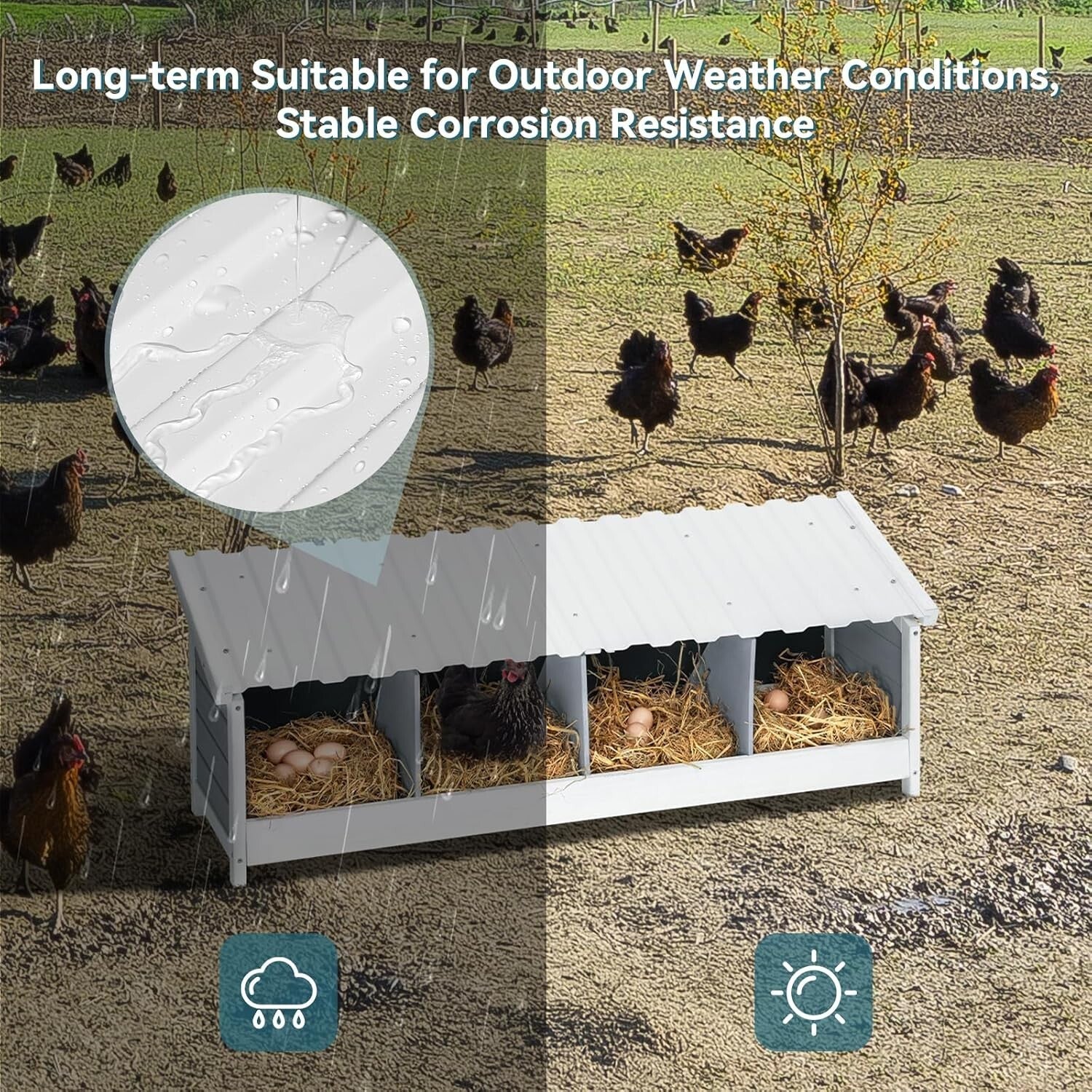 Premium Wooden Chicken Nesting Box - Weatherproof & Easy to Clean Design