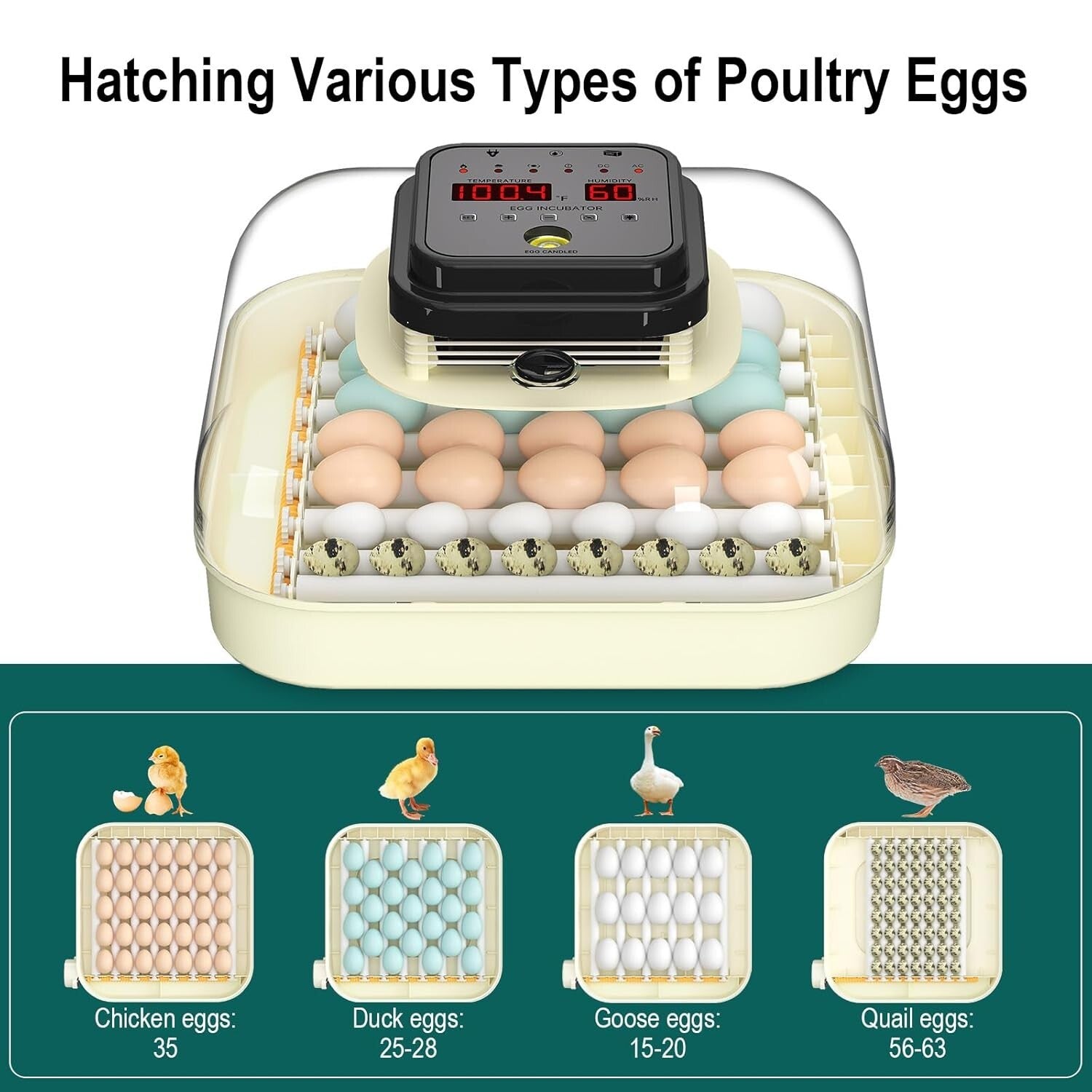 Efficient 35 Egg Incubator: Automatic Turning, Humidity Control & Visual Design