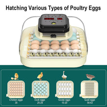 Load image into Gallery viewer, Efficient 35 Egg Incubator: Automatic Turning, Humidity Control &amp; Visual Design