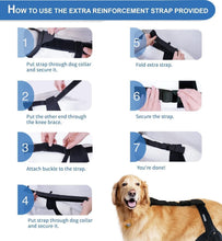 Load image into Gallery viewer, Lightweight Adjustable Dog Knee Brace for Joint Pain Relief &amp; Mobility - Black