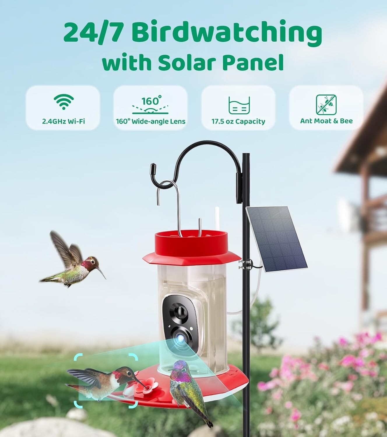 Interactive Hummingbird Feeder with HD Camera & Ant Moat - Gift for Bird Lovers