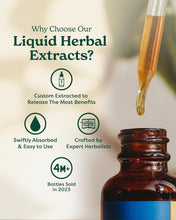 Load image into Gallery viewer, Liquid Dandelion Extract, 4 oz - Certified Organic for Natural Detox Boost