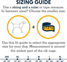 Load image into Gallery viewer, Lightweight Windproof Dog Jacket with Reflective Trim - Small Mineral Yellow