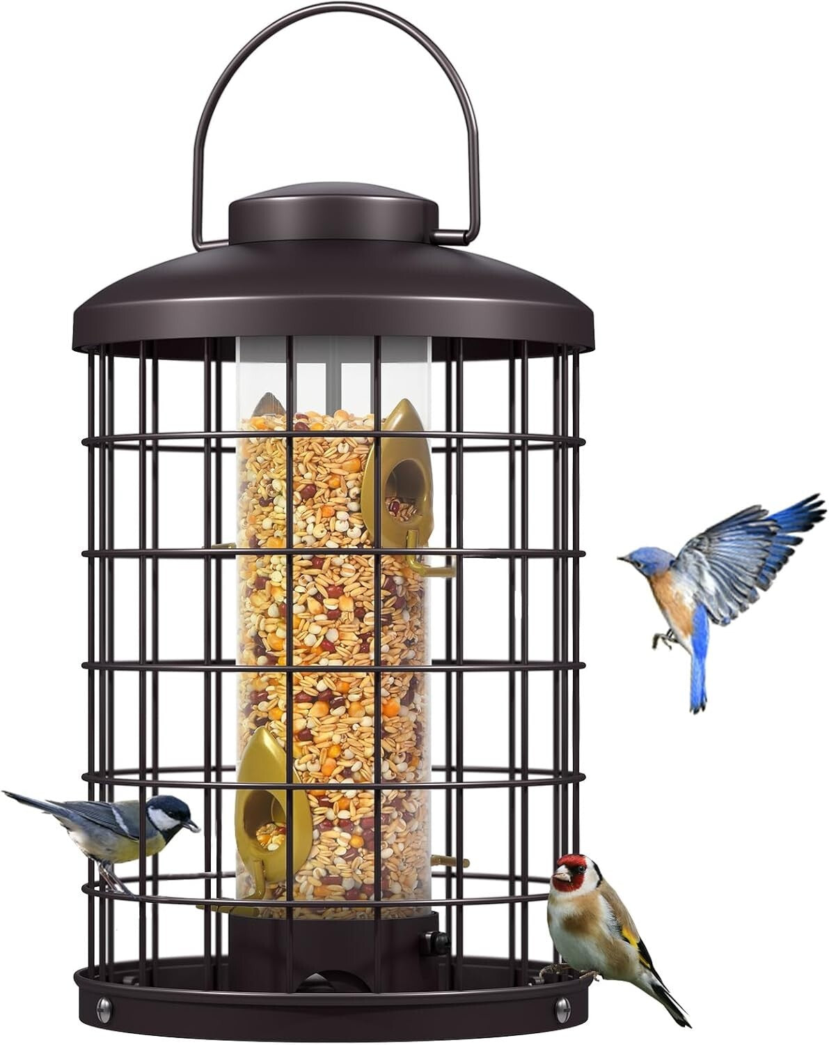 Caged Bird Feeder with Adjustable Feeding Ports - Squirrel-Proof Design, 3 lbs