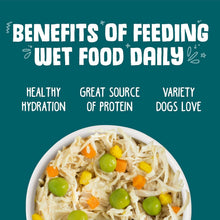 Load image into Gallery viewer, Artisan Funky Chunky Chicken Soup with Nutrient-rich Veggies - 12 Cans, 14oz