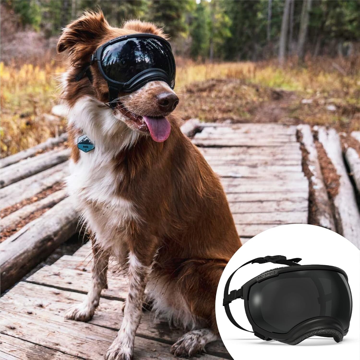 V2 X-Large Dog Goggles in Black - Protective Eyewear for Active Pups