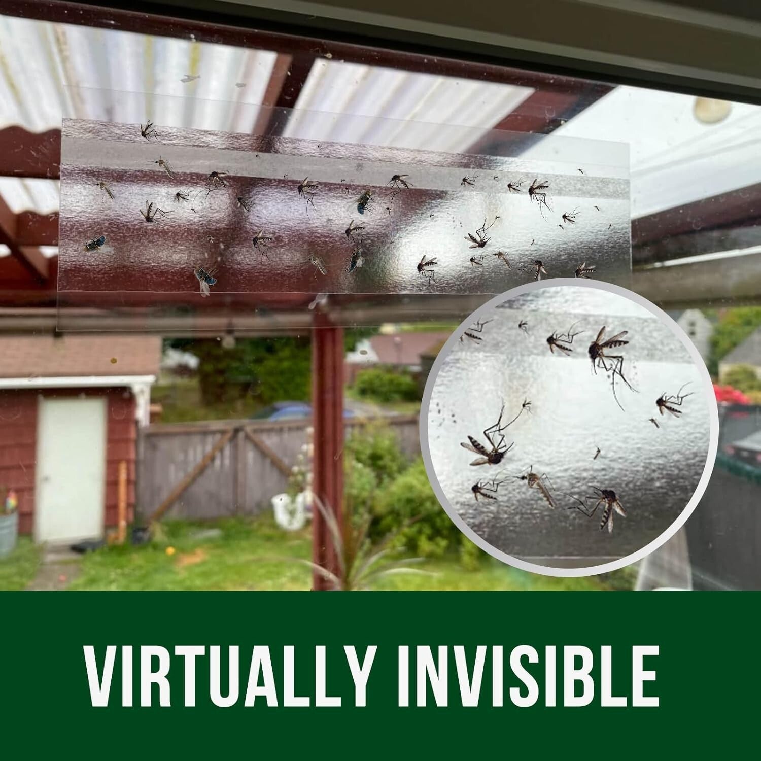 Easy-Remove 120 Pack Fly Traps - Silent, Pesticide-Free Bug Solutions for Home