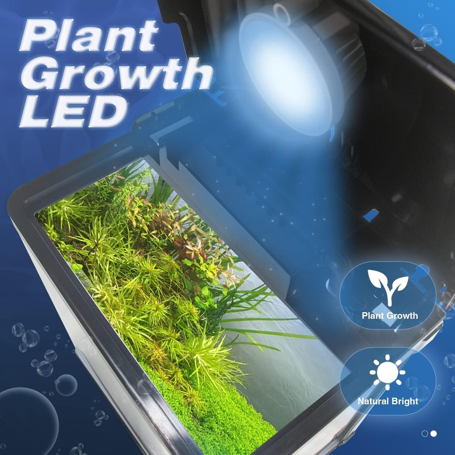 Elegant 4 Gallon Betta Fish Tank with Filter & LED Light - Starter Kit