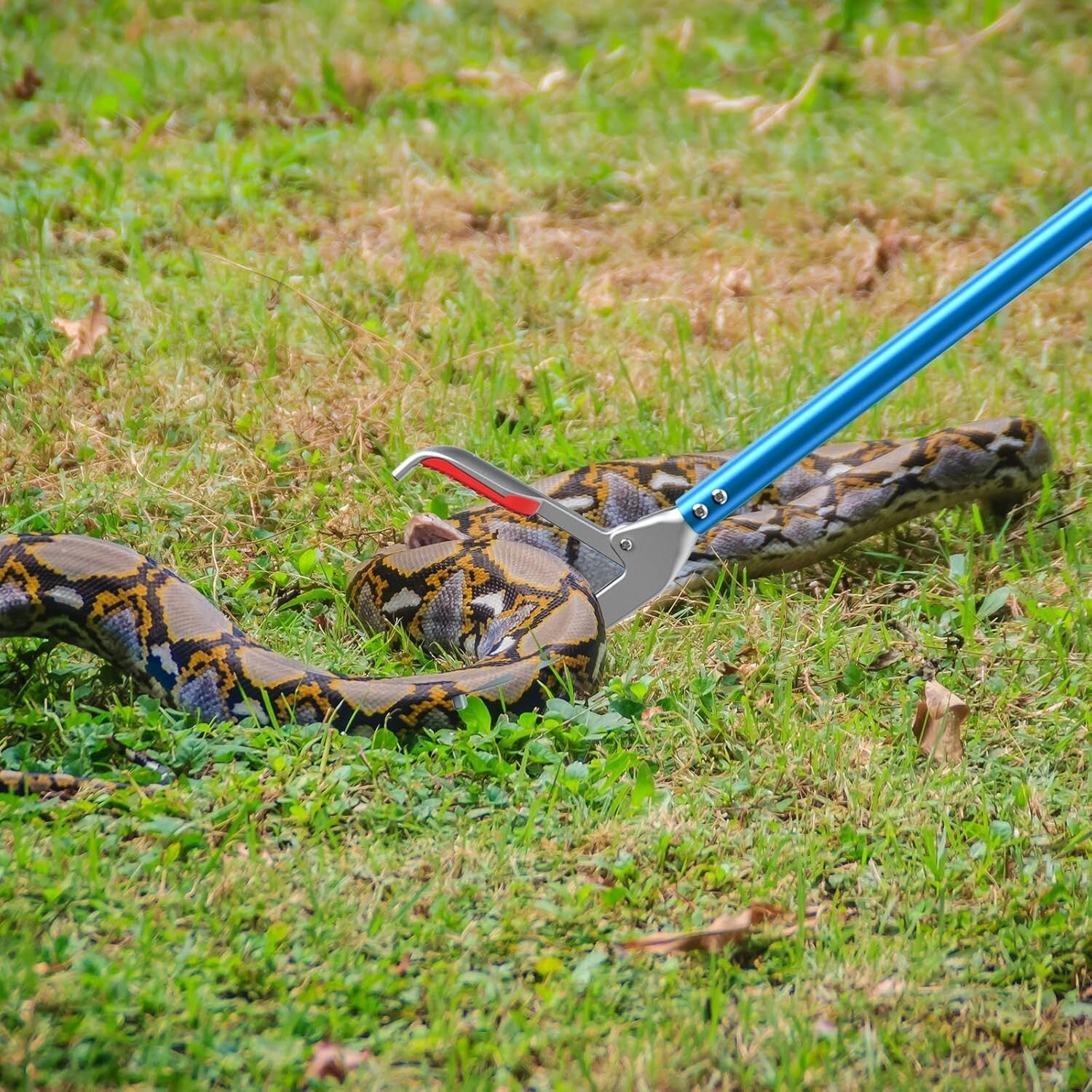Ergonomic 60-Inch Snake Catcher with Protective Wide Jaw - Lightweight Alloy