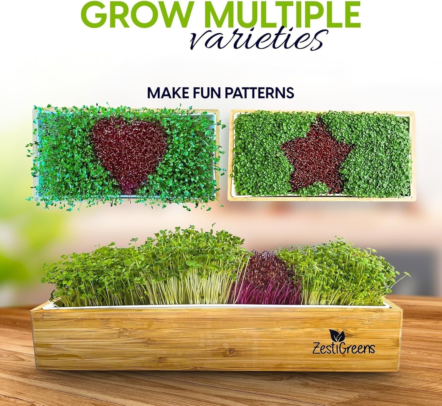 Indoor Self-Watering Microgreens Kit - Perfect for Beginners: No Soil Needed!