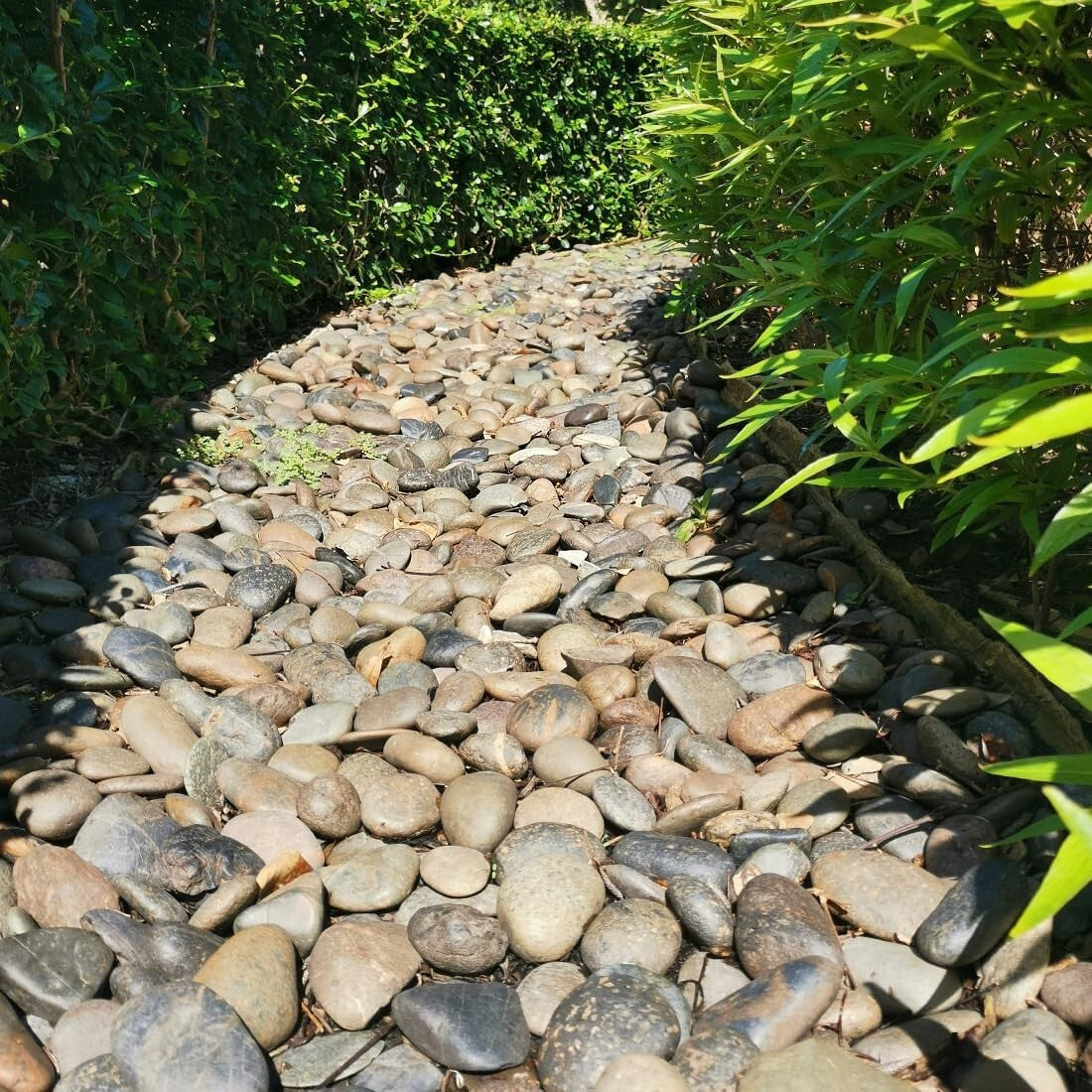 Hand-Picked 3-4" River Pebbles for Fish Tanks and Elegant Landscaping Solutions