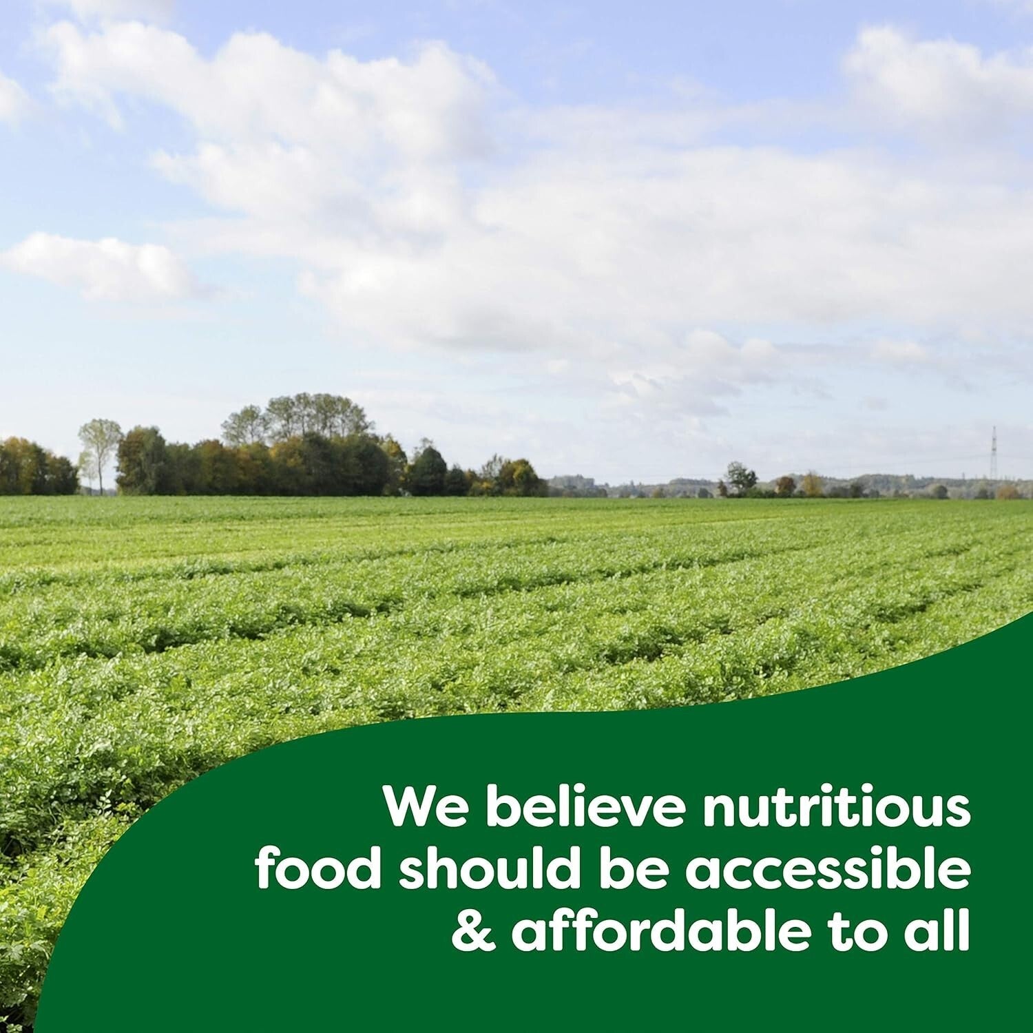 Velvety Creamy Pesto Sauce Mix - No Artificial Flavors, Ready in Minutes