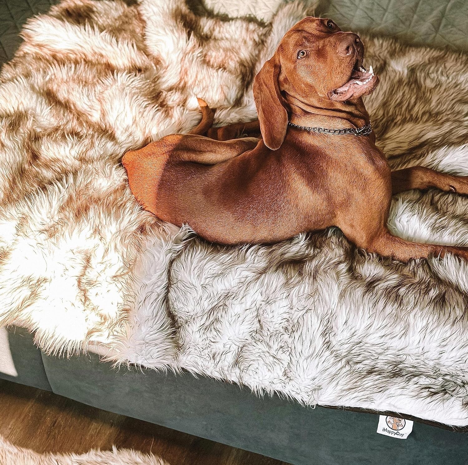 Versatile 80” x 60” Waterproof Pet Blanket - Machine Washable Faux Fur Cover