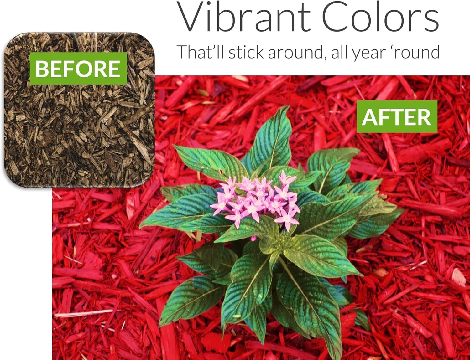 1 Gallon Red Mulch Dye Concentrate – Effortless Curb Appeal for Landscapes